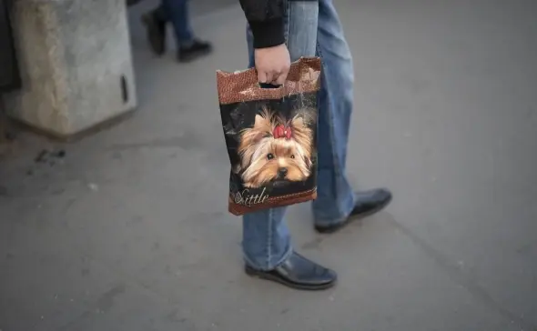 Фото: Михаил Гребенщиков / РБК