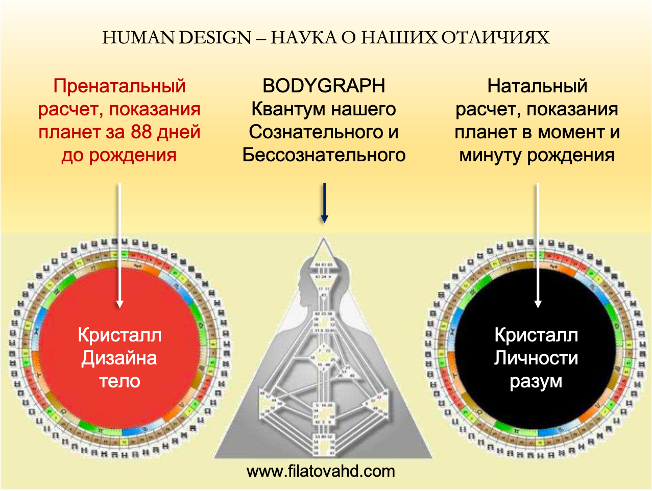 Хьюман дизайн что