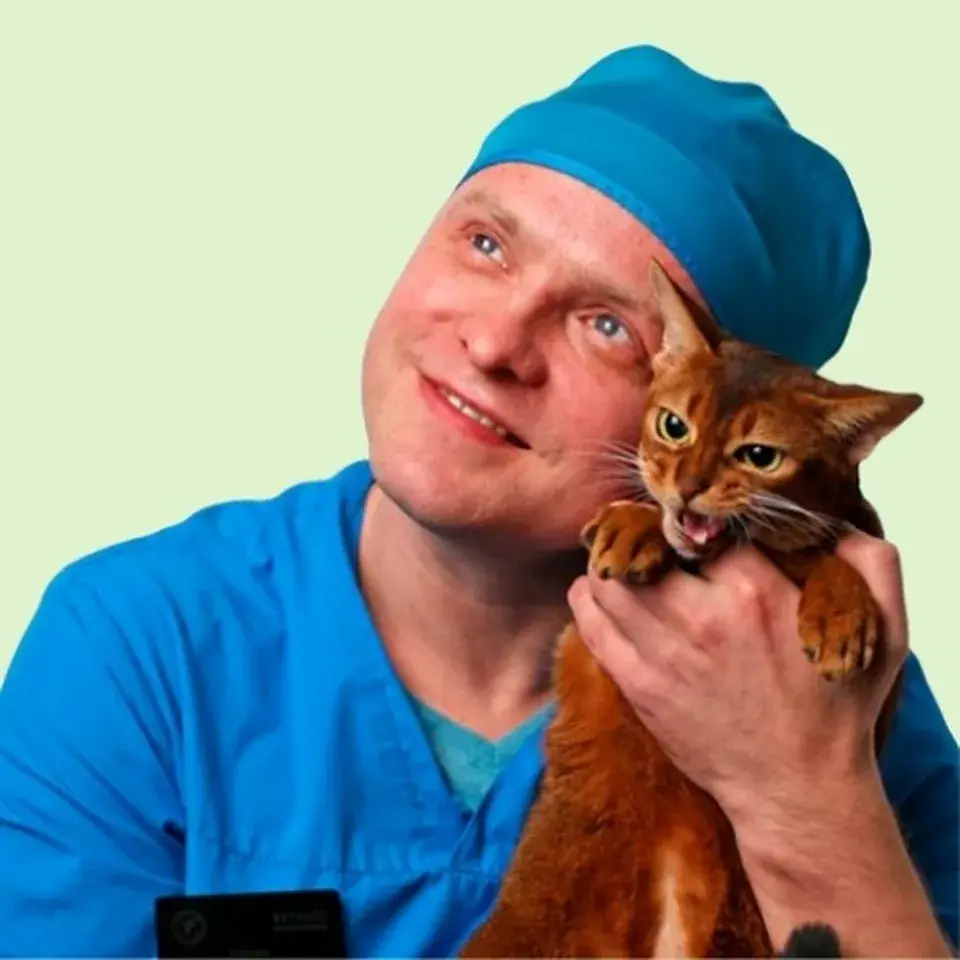 Юдаев Михаил Викторович, Терапевт