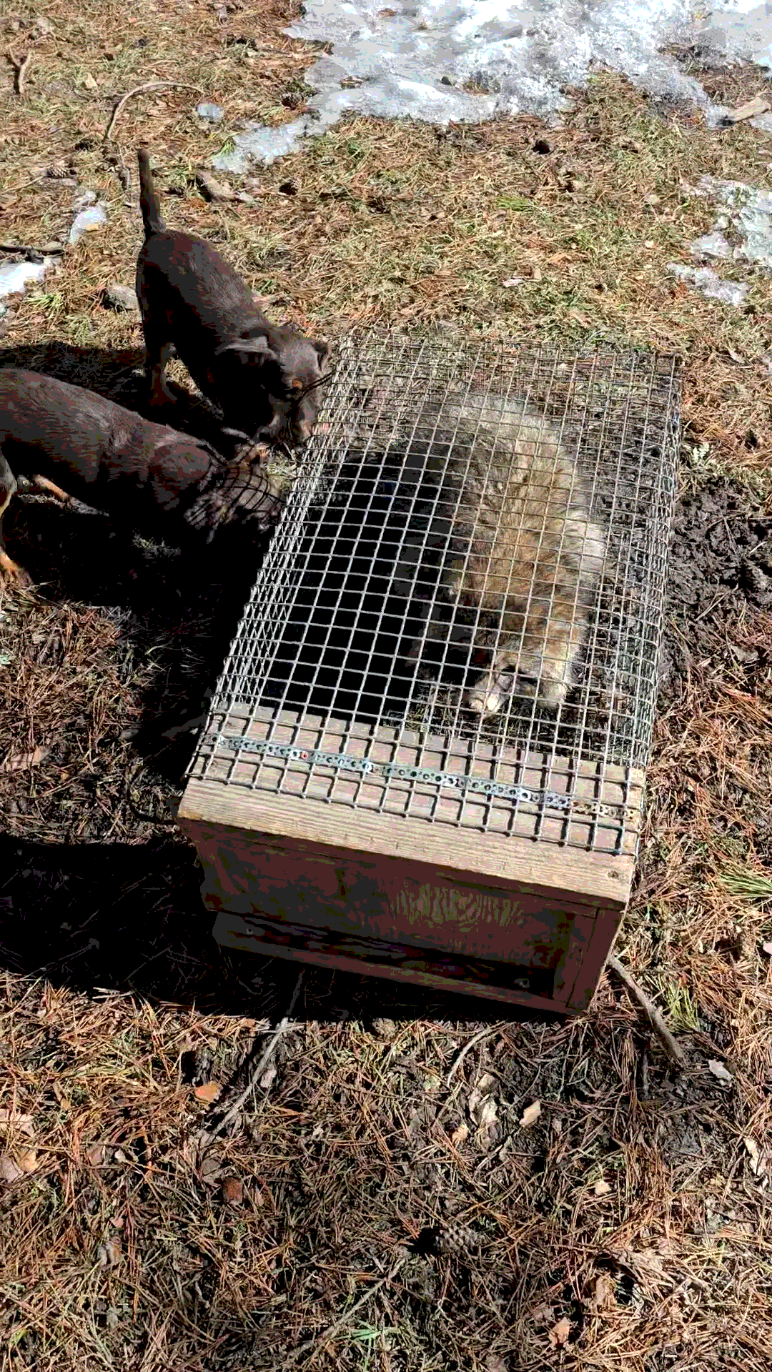 Подражательный метод.