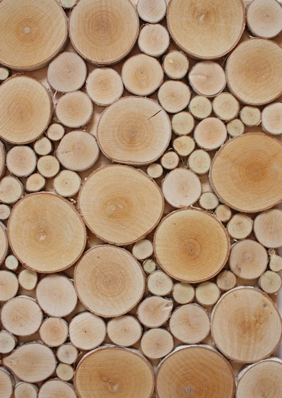 деревянные спилы для панно