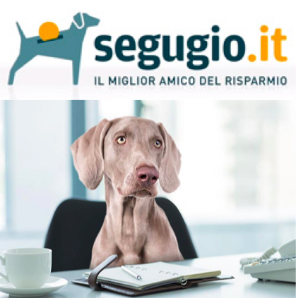 Segugio.it dog eng