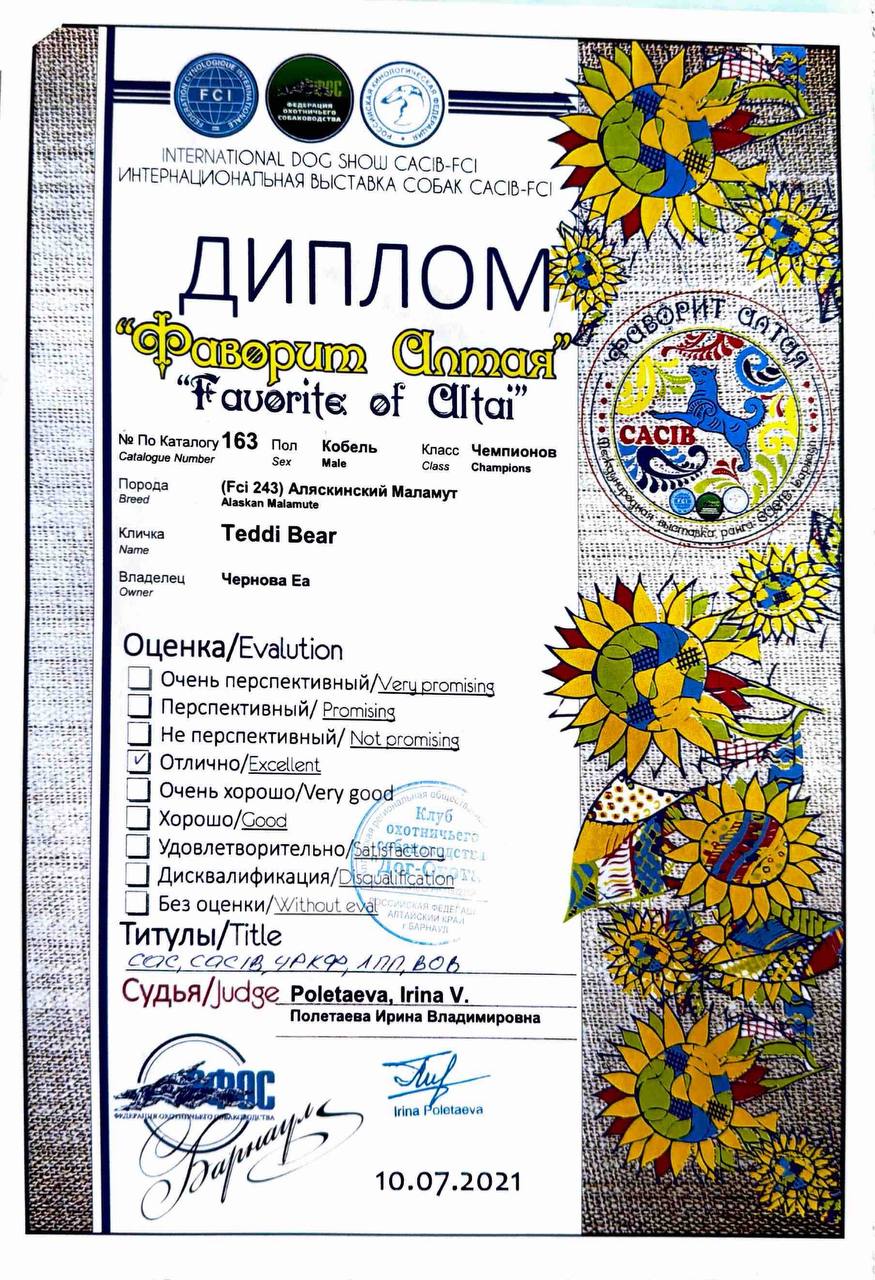Диплом выставки Favorite of Altai