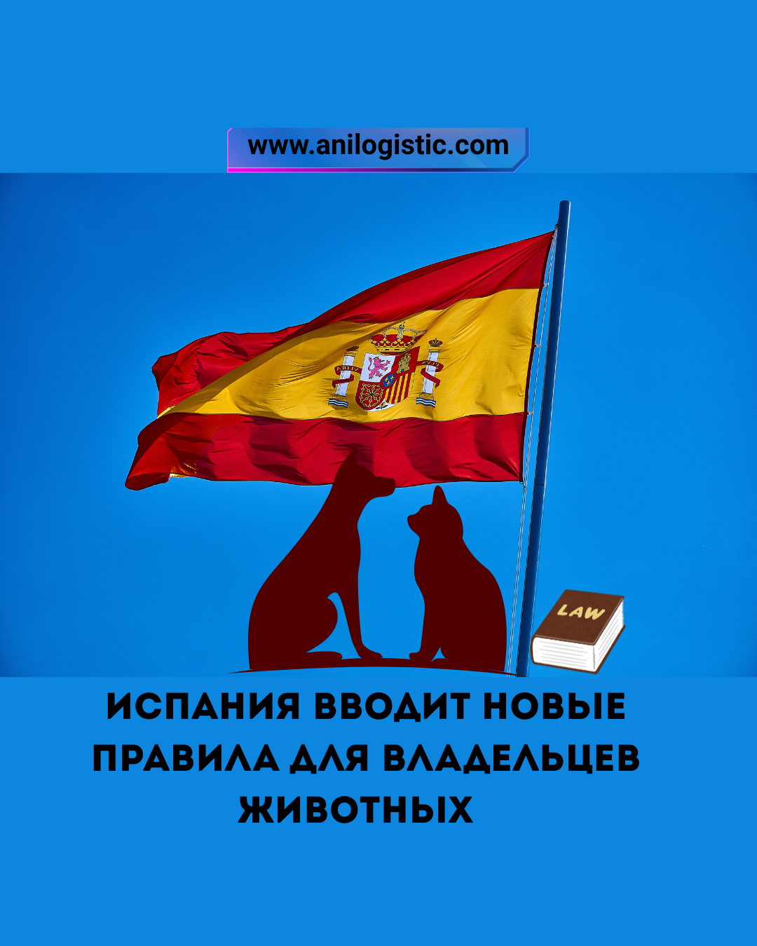 Новые правила для владельцев животных в Испании, закон Ley 7/2023, регистрация и перевозка питомцев