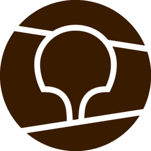 website icon
