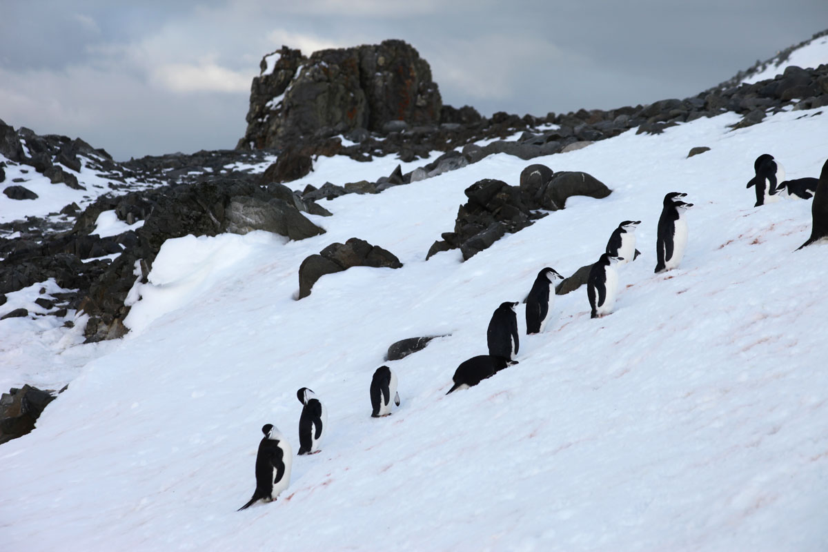 Художник Константин Путинцев: фотоработы
