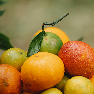 восковые свечи