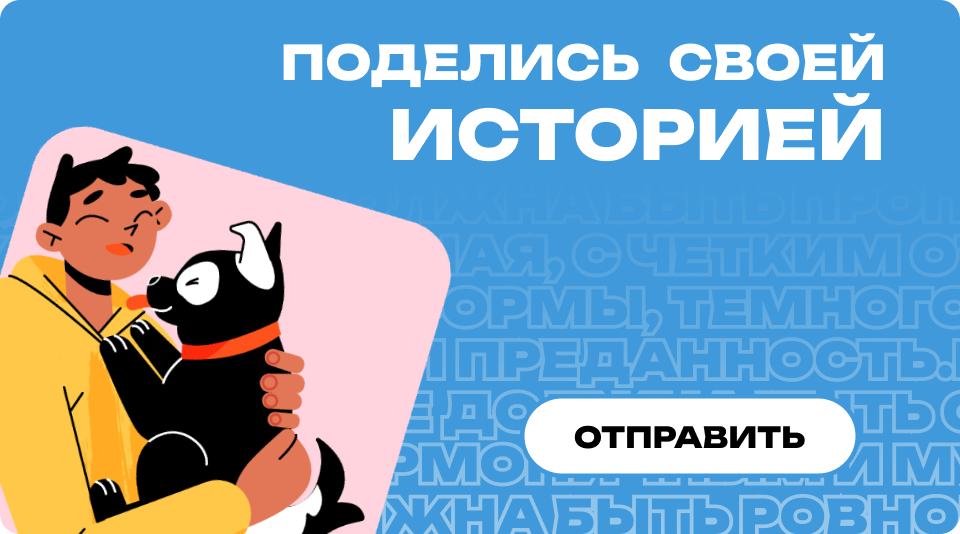 Перейти к истории