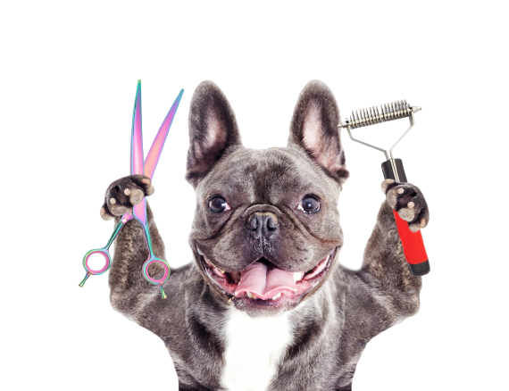 мастергрум