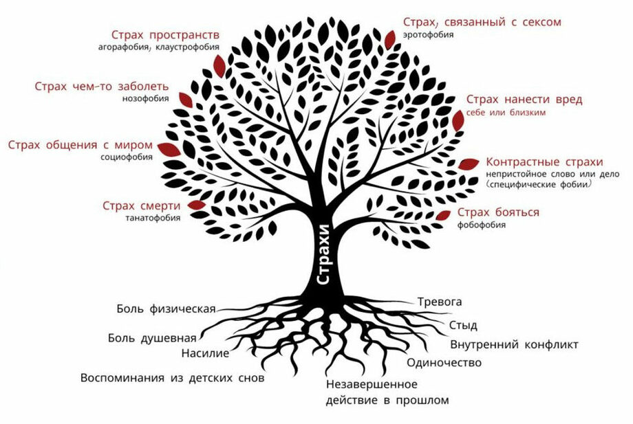 Дефекты характера. Дерево страхов. Дерево страхов психология. Дерево зависимостей. Дерево страхов 12 шагов.