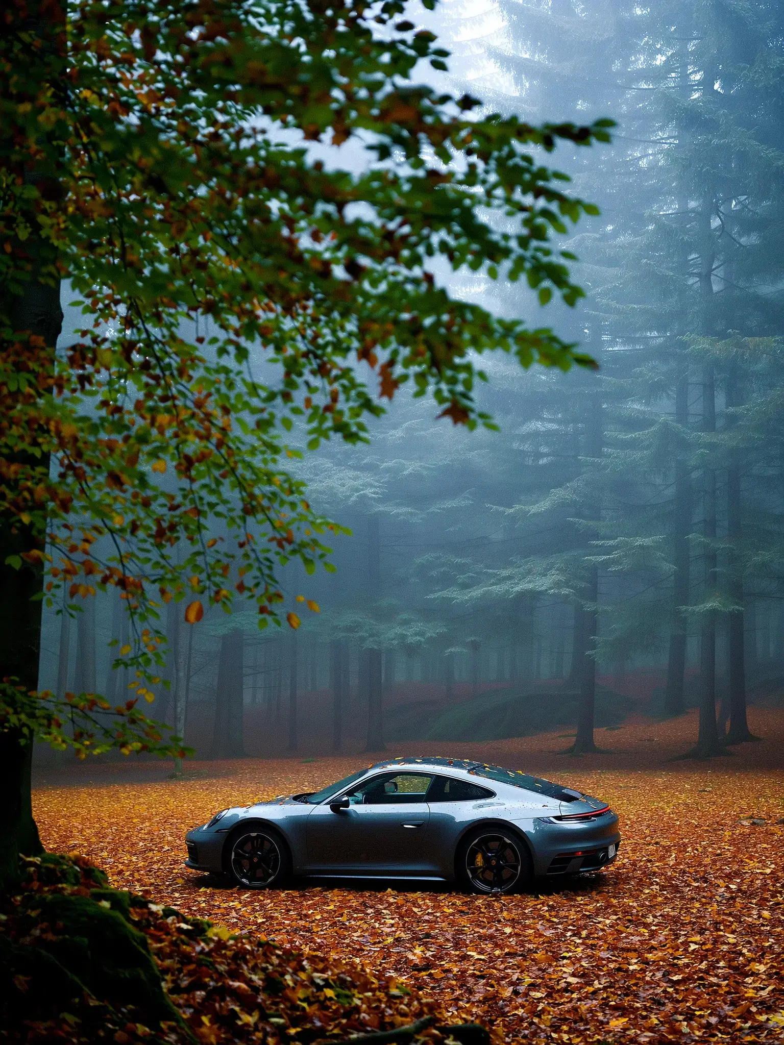 Autumn aesthetics 24