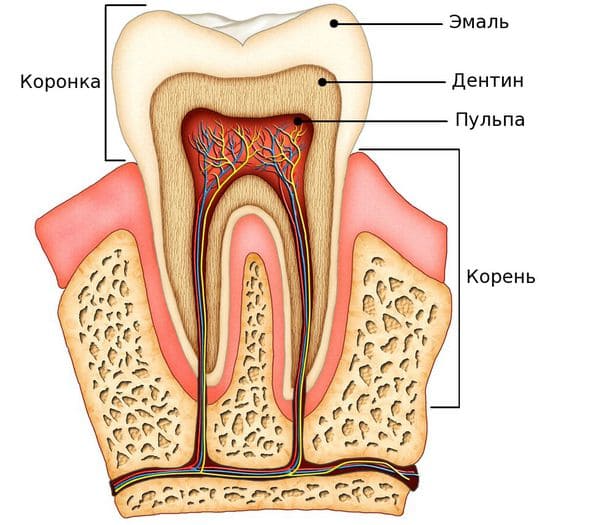 Лечение кариеса зубов в клинике доктора Барышева