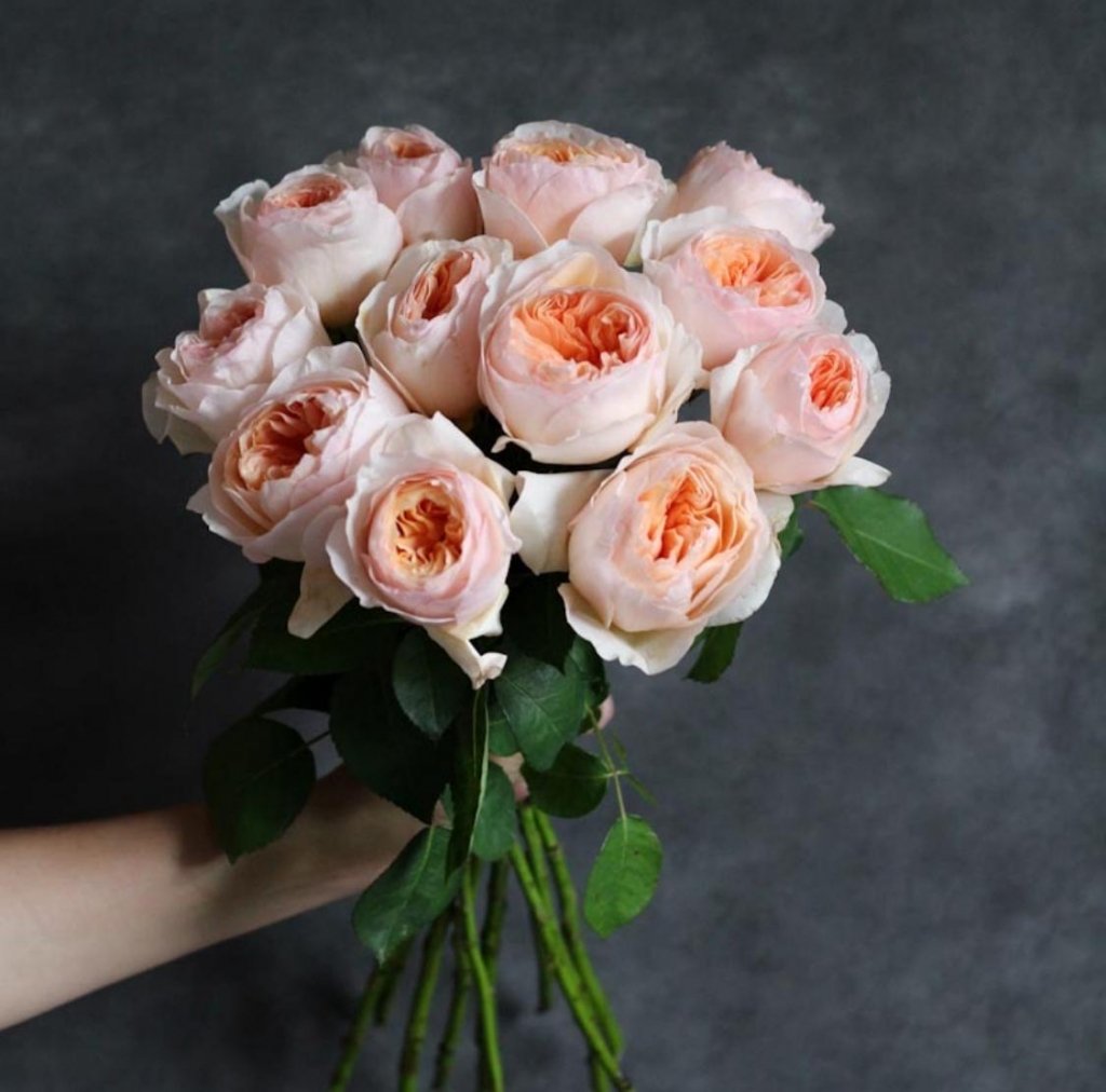 Что добавить в воду с розами, чтобы они стояли дольше: 3 совета. Читайте на garant-artem.ru