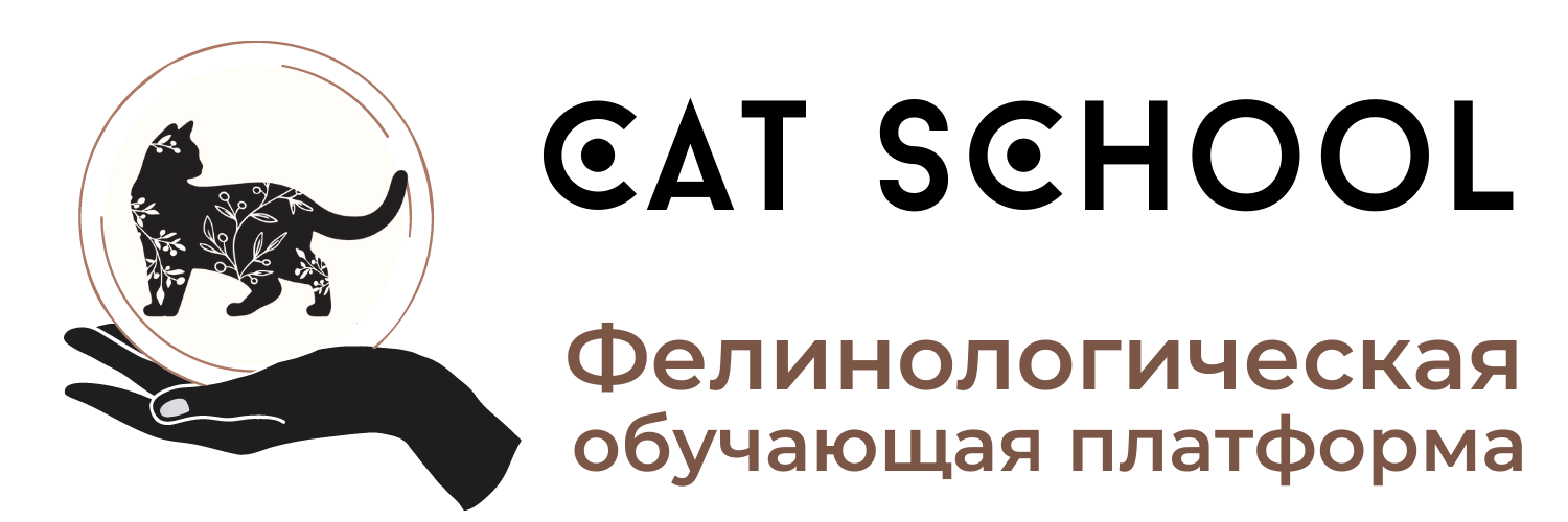 © Все права защищены, 2021 ИП Валюшкина Е.С. / ОГРНИП 320237500124459 / ИНН 231522174541