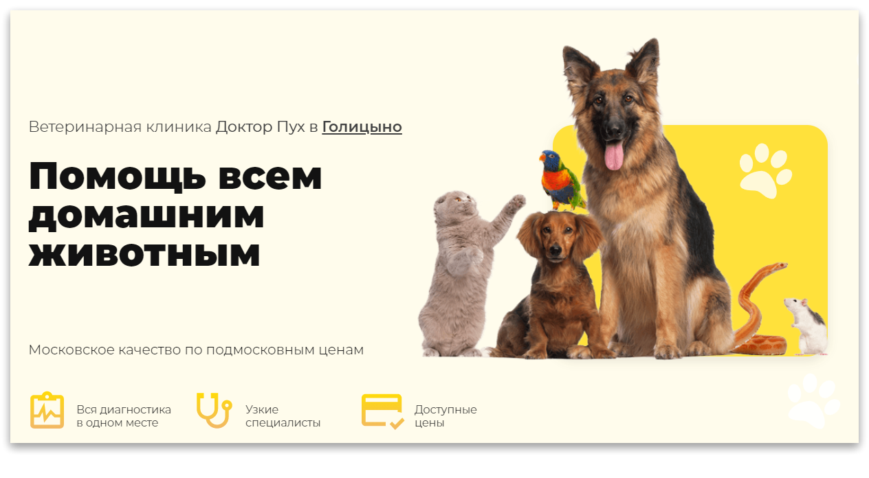 Ветеринарная клиника в Голицыно ❤️ Ветклиника Доктор Пух | Официальный сайт