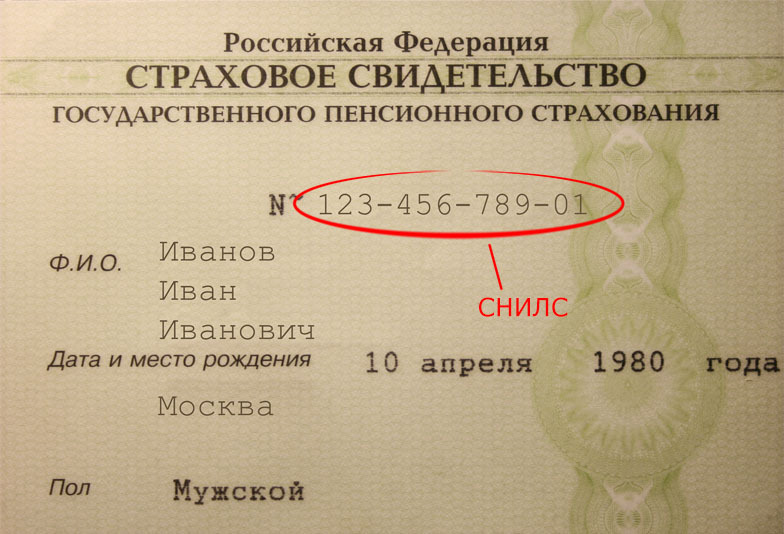 Какое право гражданина россии может быть проиллюстрировано с помощью данного изображения музей