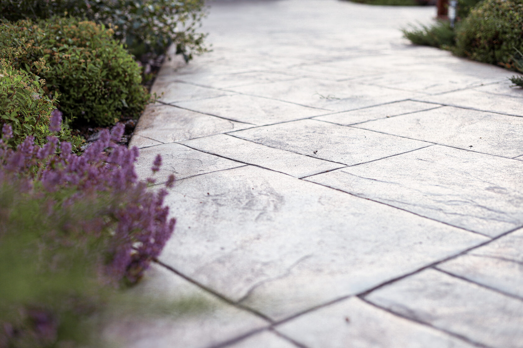 Синие цыеты