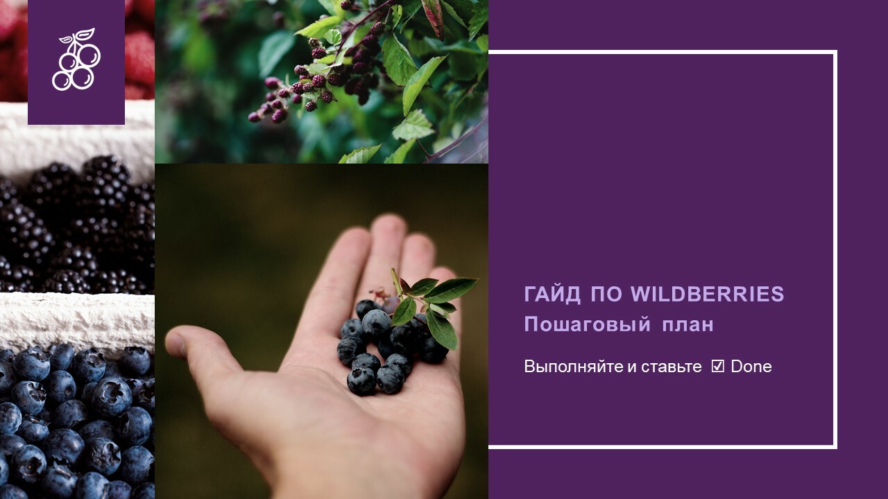 Презентация про wildberries