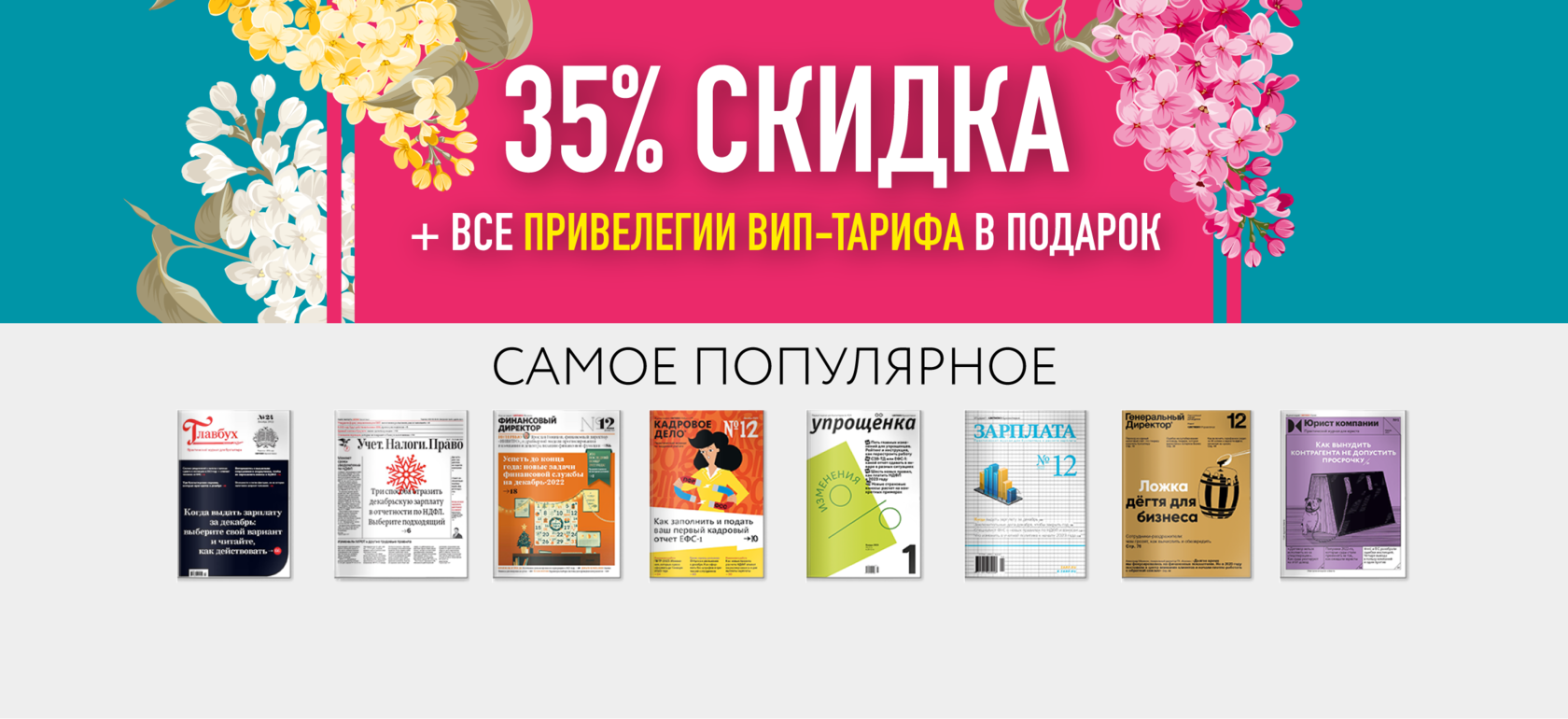 Подписка на электронные журналы главного бухгалтера и главного бухгалтера (Россия) + дополнительные электронные услуги