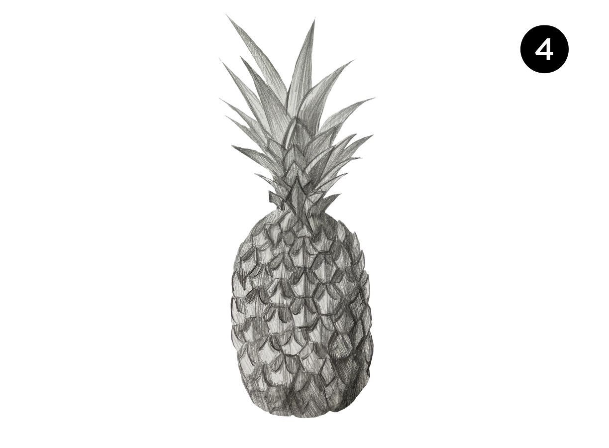 pineapple drawing shading