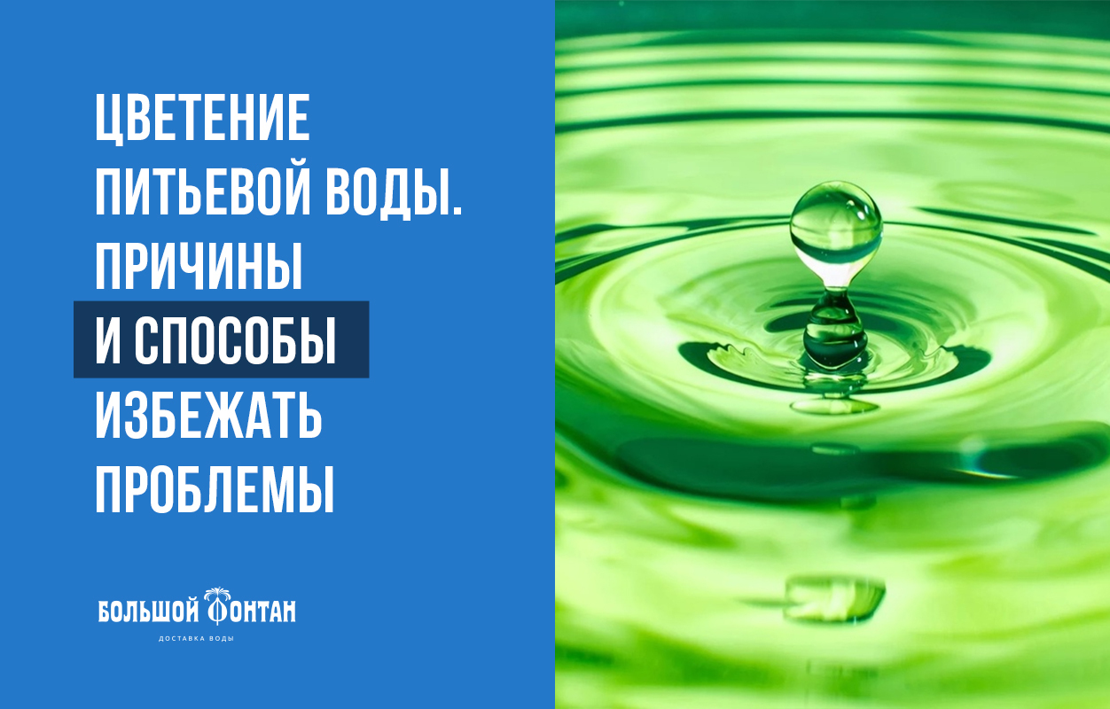 Микробы в питьевой воде. Почему зацвела вода в бутылке. Почему цветет вода в баке. В емкости вода "цветет зеленым цветом" как справиться.