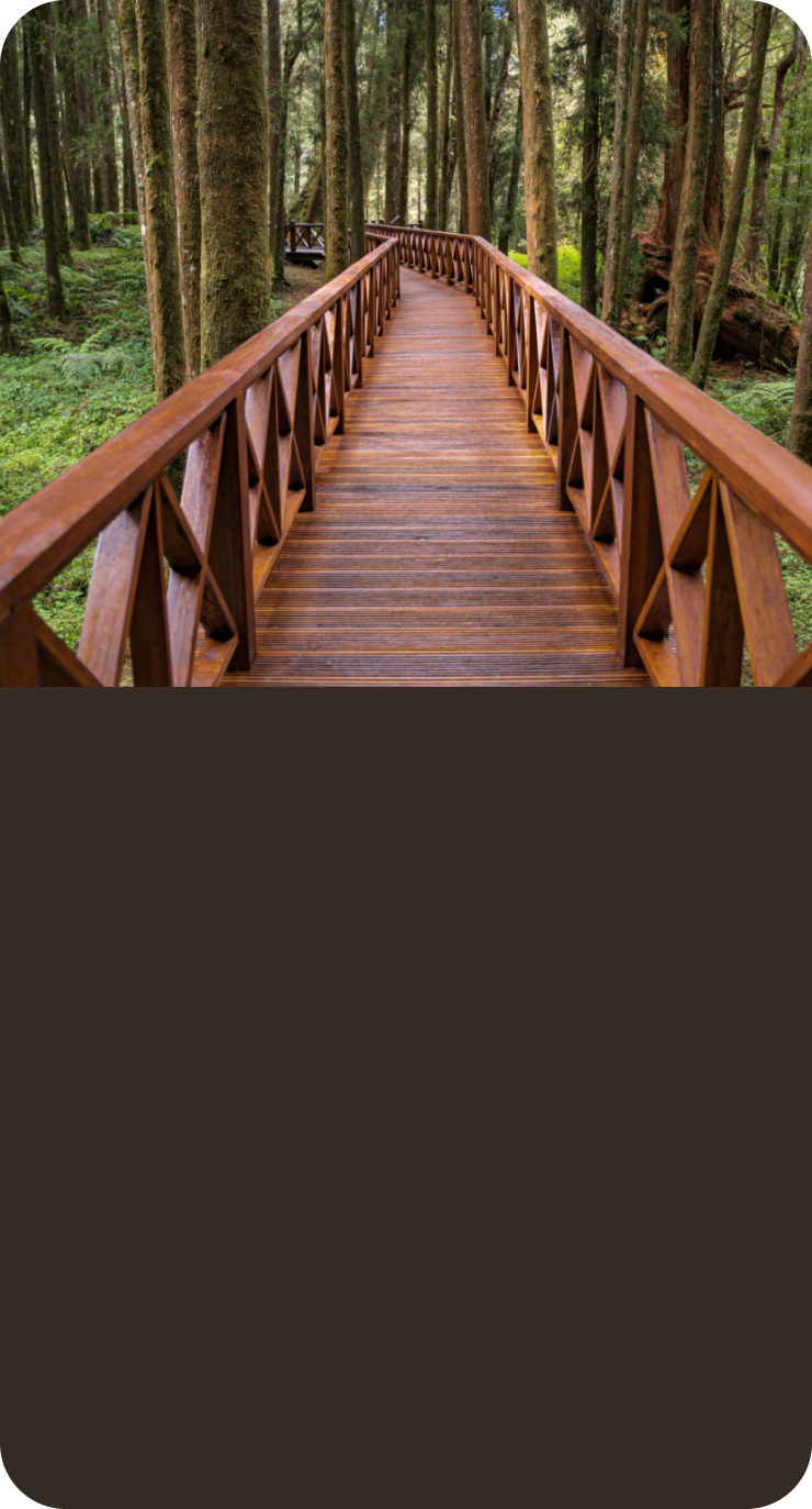 Мосты картинка