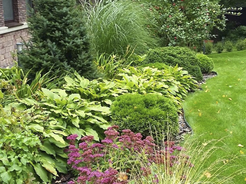 Идеи использования чёрных цветов в дизайне сада | 🌿Школа садоводов ▶ Марии В. | Дзен