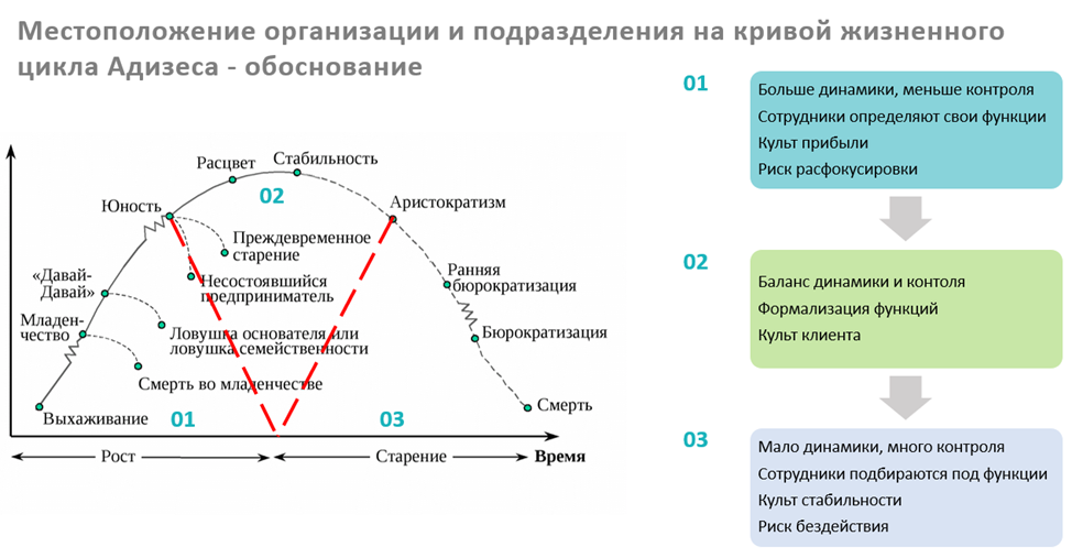 Карта жизненного цикла Адизеса