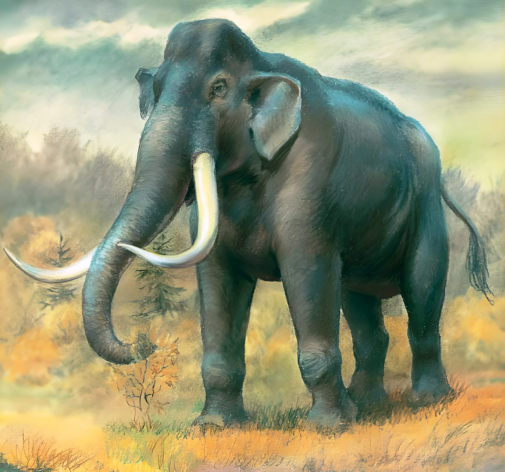 Южный слон Mammuthus meridionalis