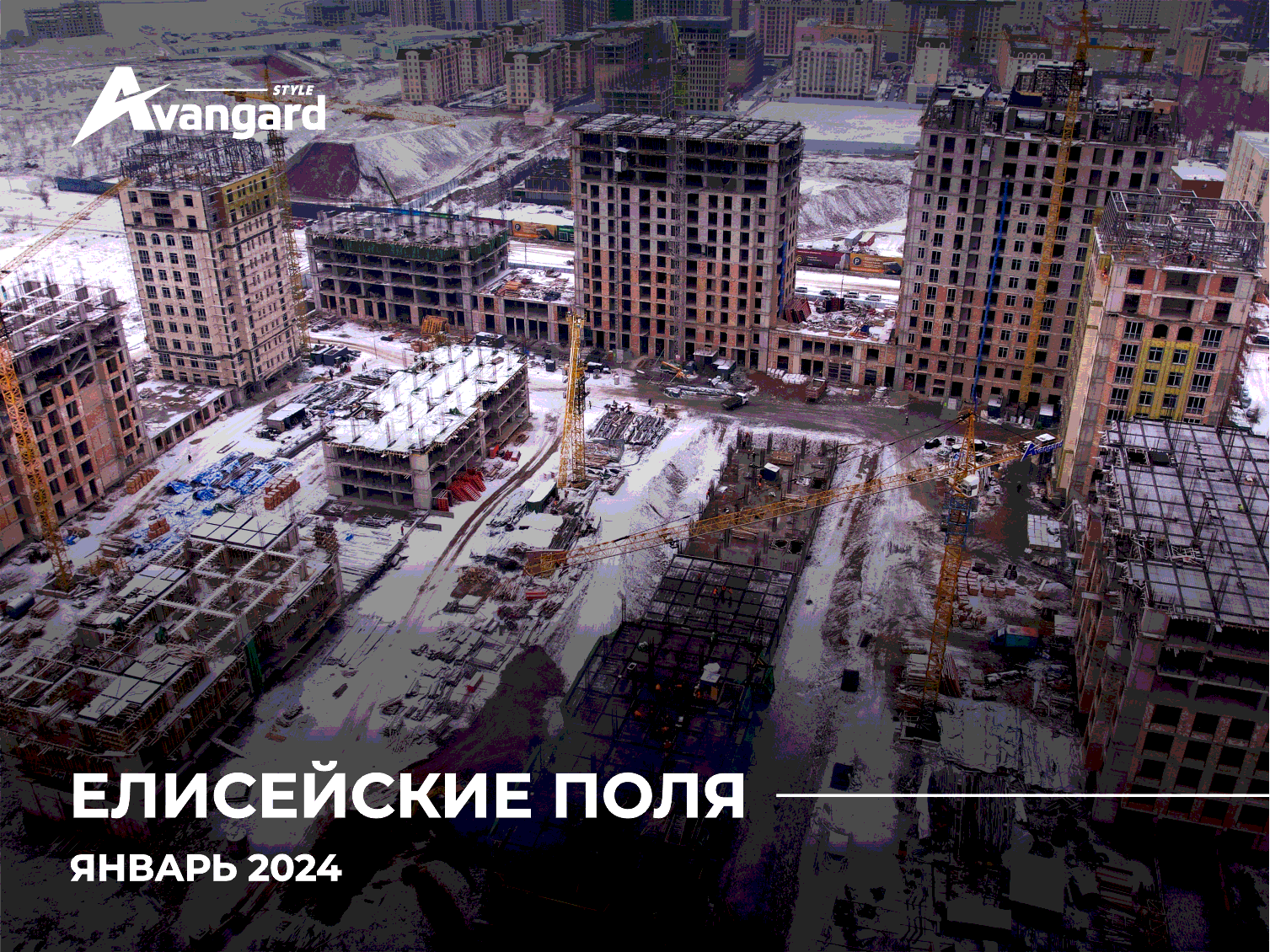 ЕЛИСЕЙСКИЕ ПОЛЯ | ЯНВАРЬ