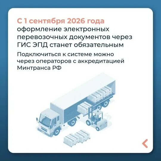 ibexpert.ru
