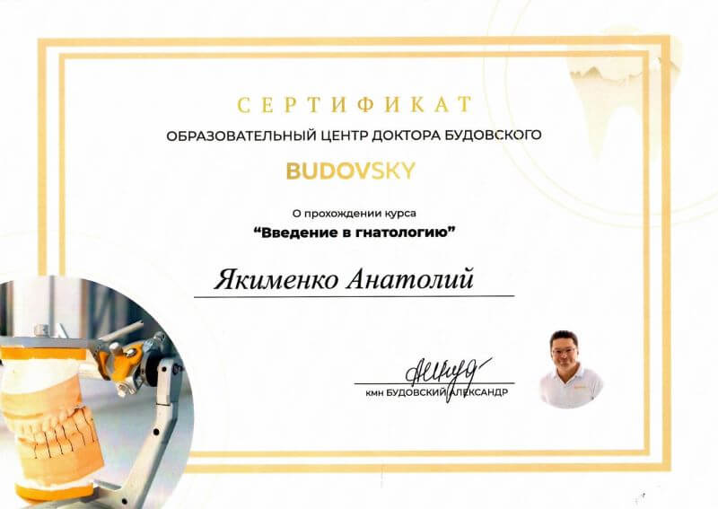 «Введение в гнатологию» — образовательный центр доктора Будовского, к. м. н. Александр Будовский