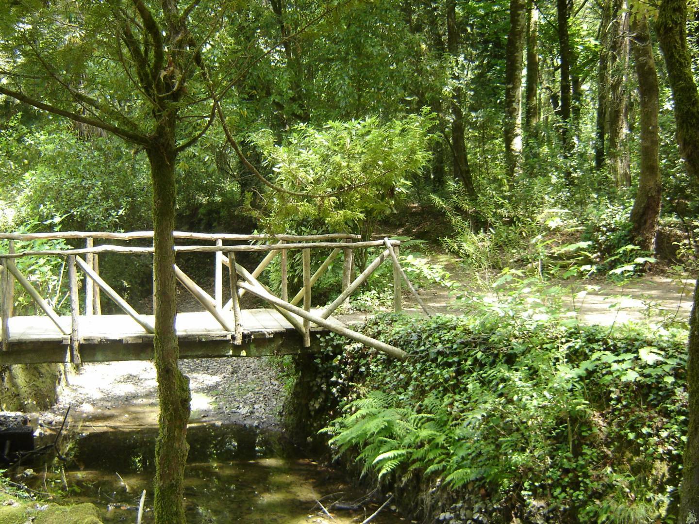 Parque de Merendas do Fontello