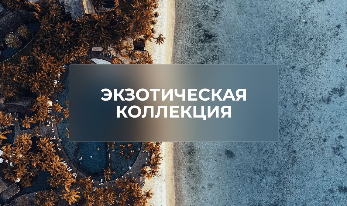 Экзотические направления