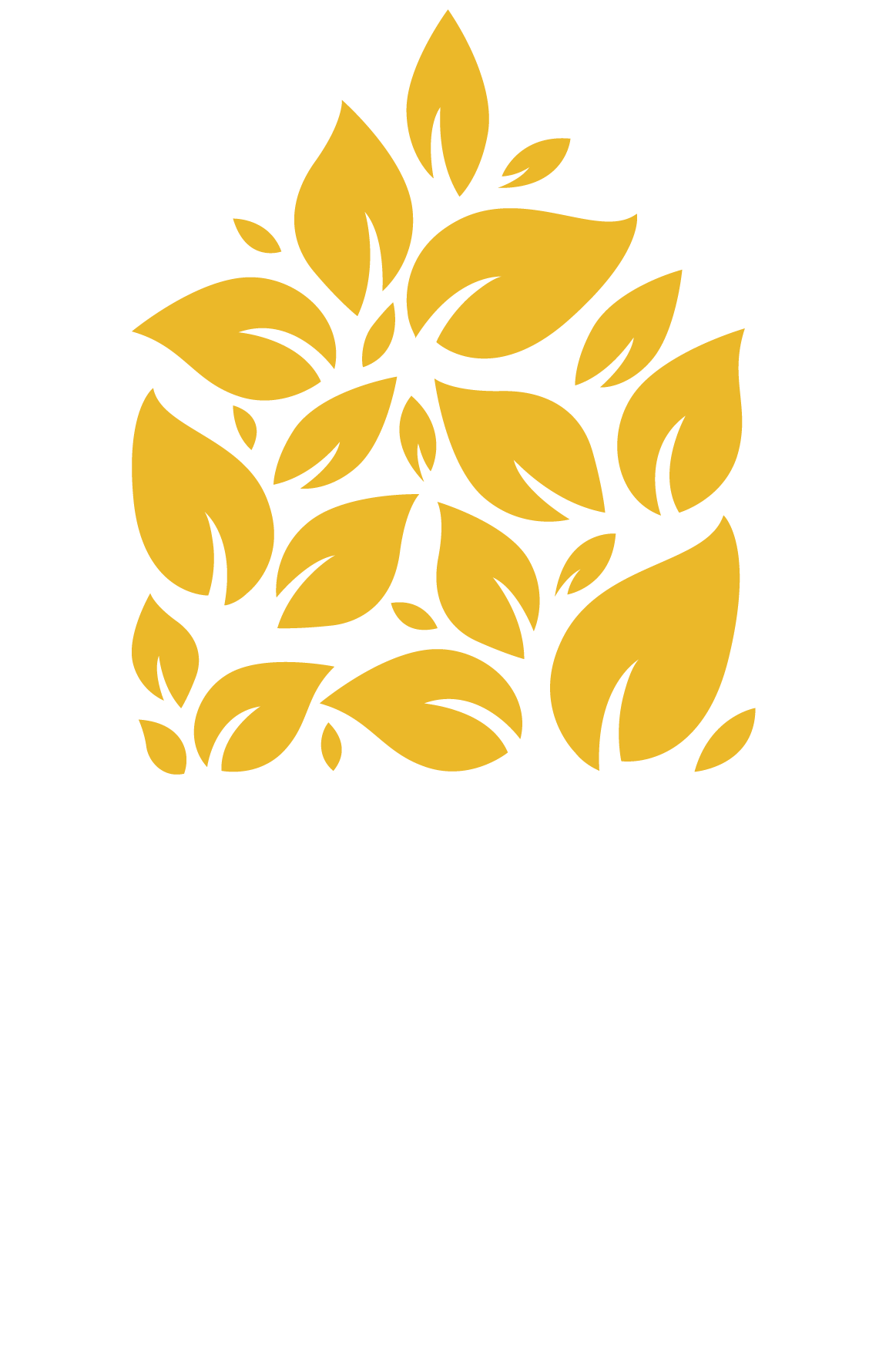 Логотип строительной компании УралБрус