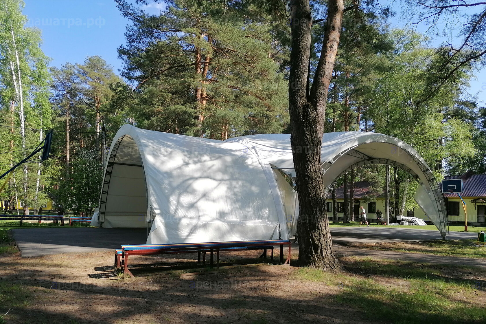 Открытый спортивно-методический форум «УТС КАЗАНЫШ» в Казани, фото&nbsp;4