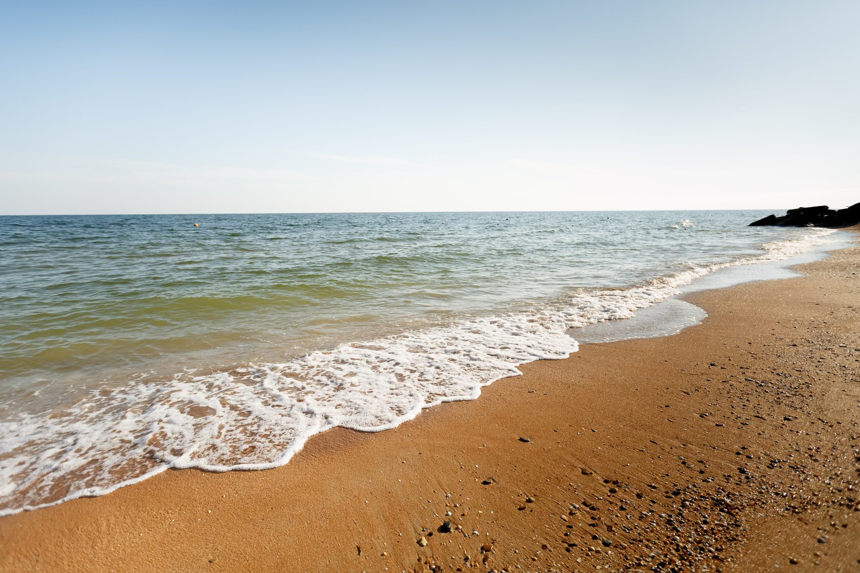 Морской уж азовское море фото