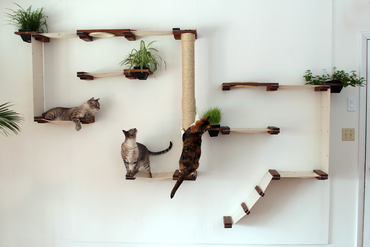 полки для кошек на стену фото
