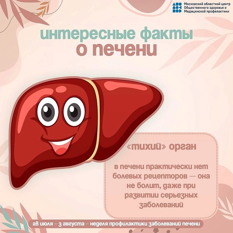 Интересные факты о печени