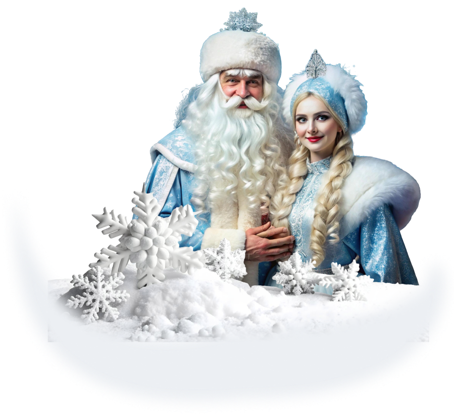 вызвать деда мороза на дом 