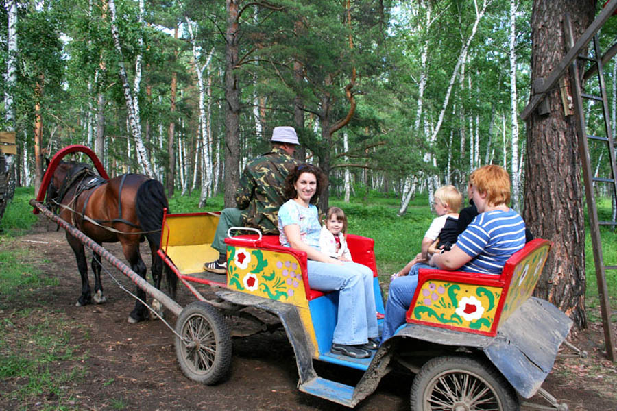 Русский дом язово тальменский. Турбаза русский дом Алтайский край Тальменка. Язово база отдыха.