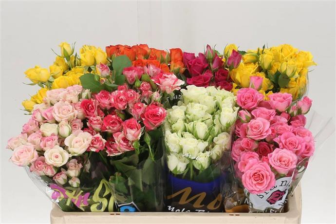 Микс цветов