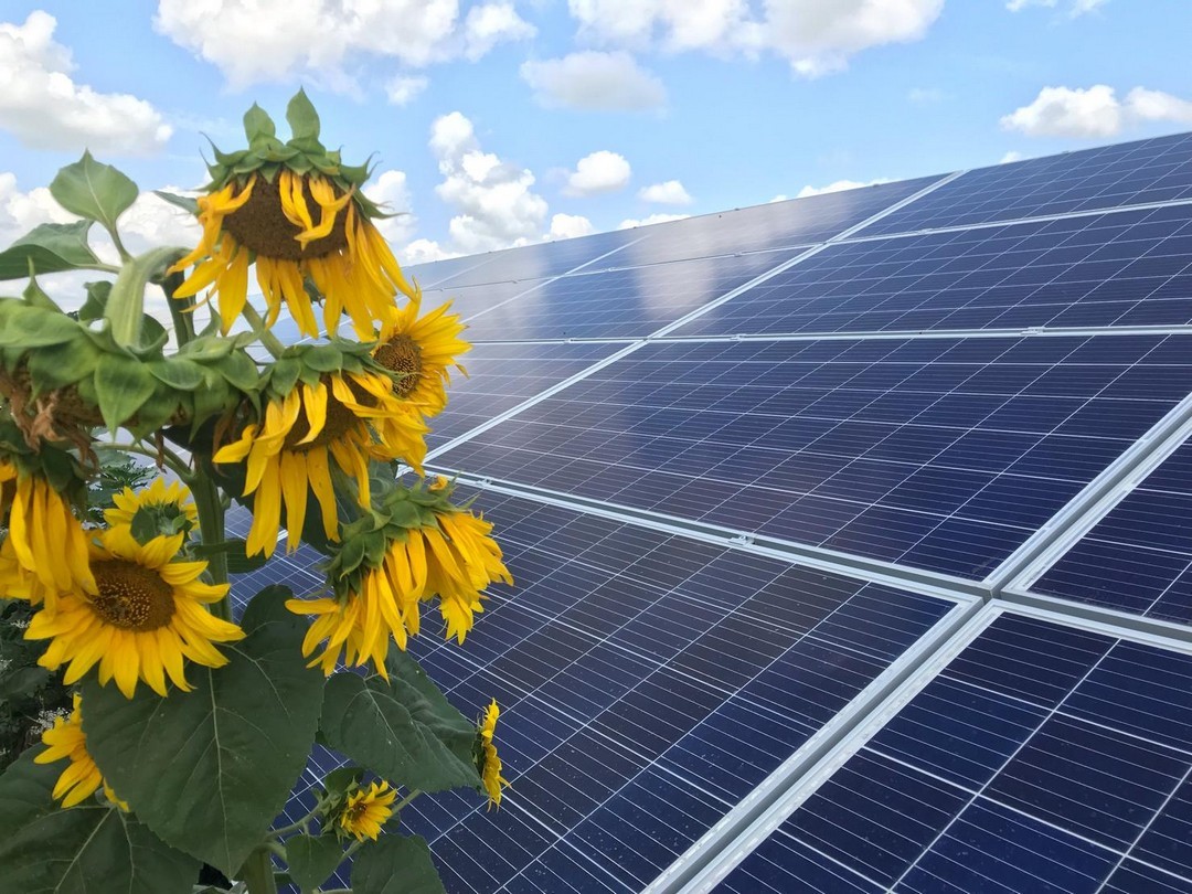 Сонячна Електростанція Інвестиція для Потреб і Бізнесу