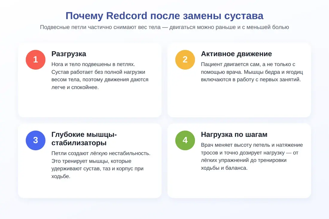 Почему Redcord после замены сустава: разгрузка, активное движение, мышцы-стабилизаторы, дозированная нагрузка