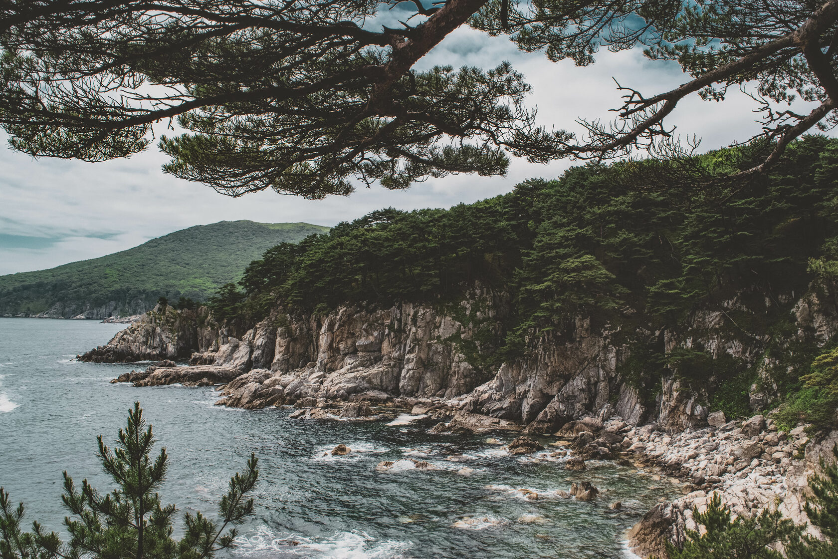 Движение приморье. Движение приморье. Движение приморье. Движение приморье. Движение приморье.