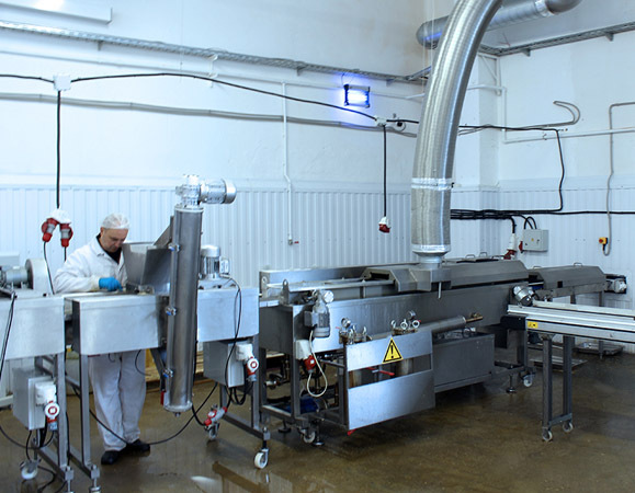 Скорожарка производитель