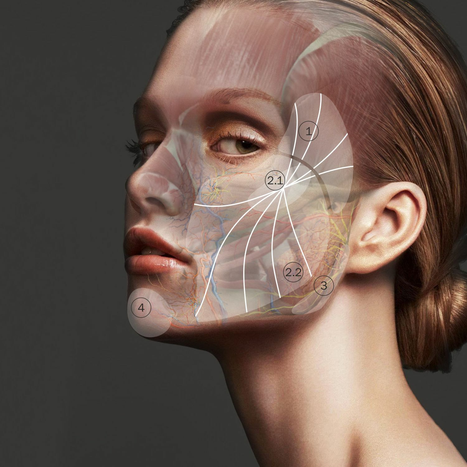 Face Contour опасные зоны