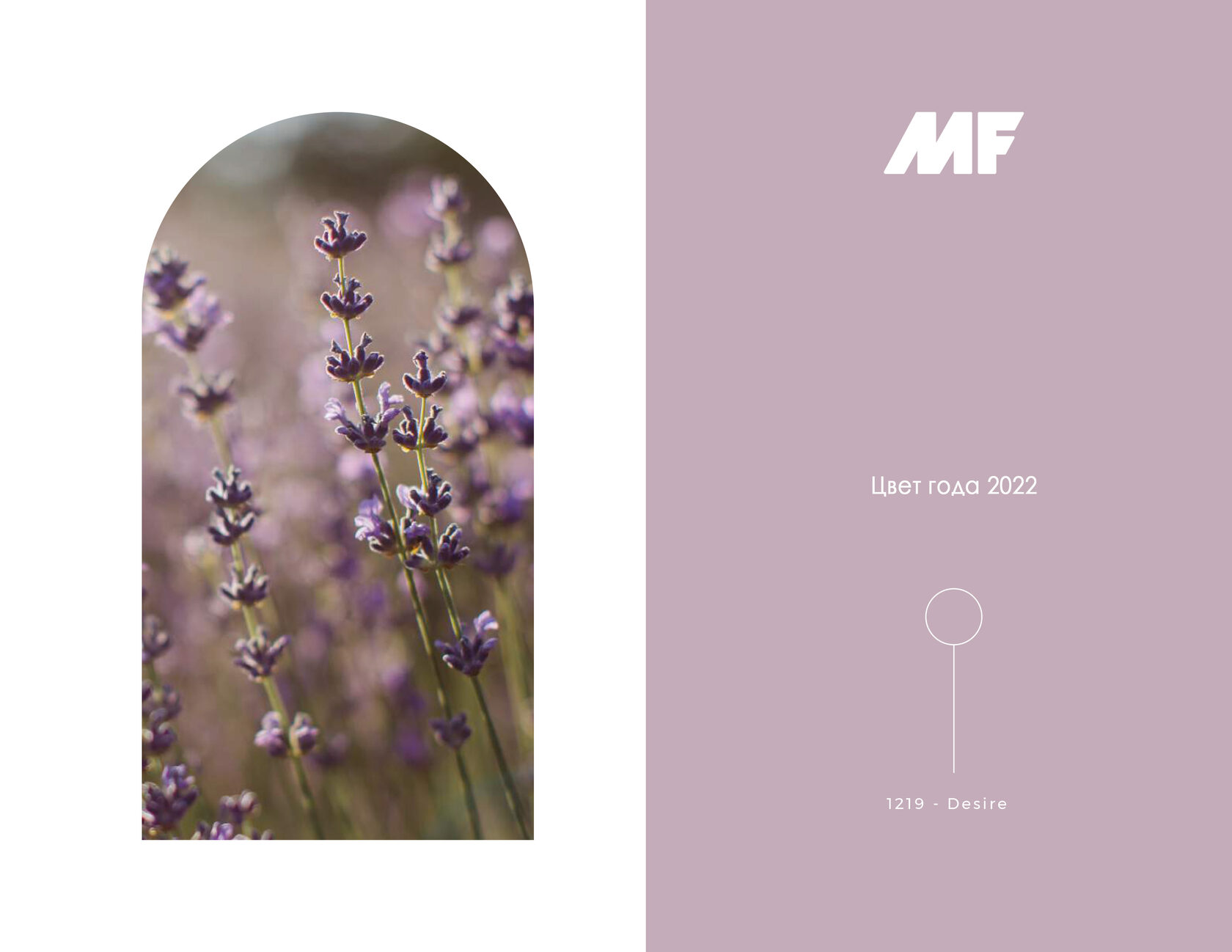 MF Paints Цвет 2022 года: Desire - 1219