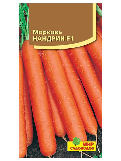 Купить Голландские Семена Морковь