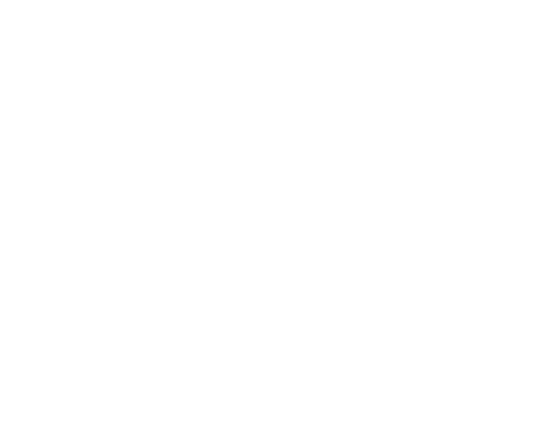 РУССКИЙ ЛЕС